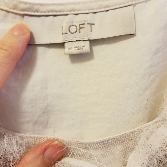 Loft medium shell tank - Picture 3 of 4